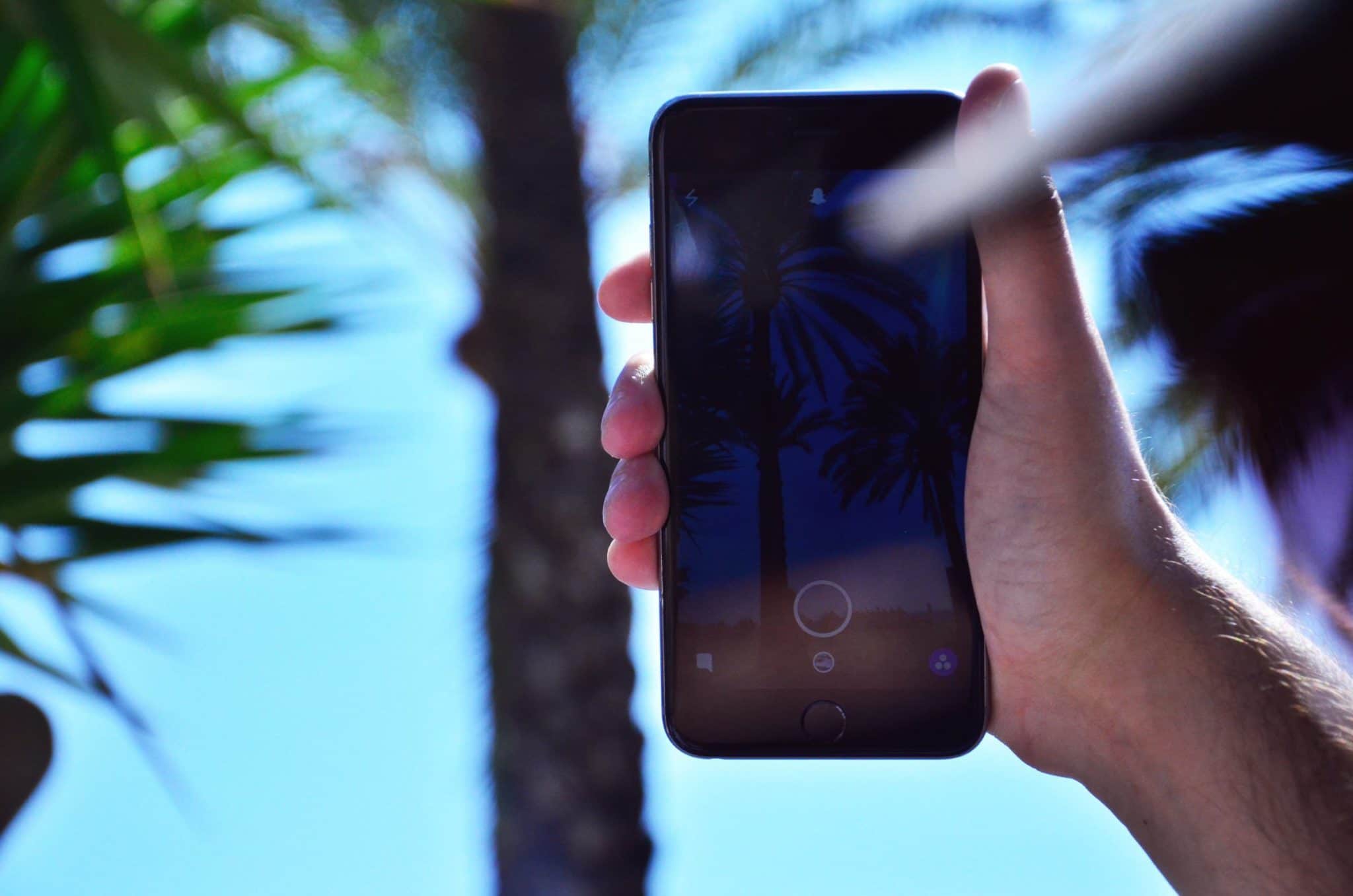phone camera, pictures of palm trees