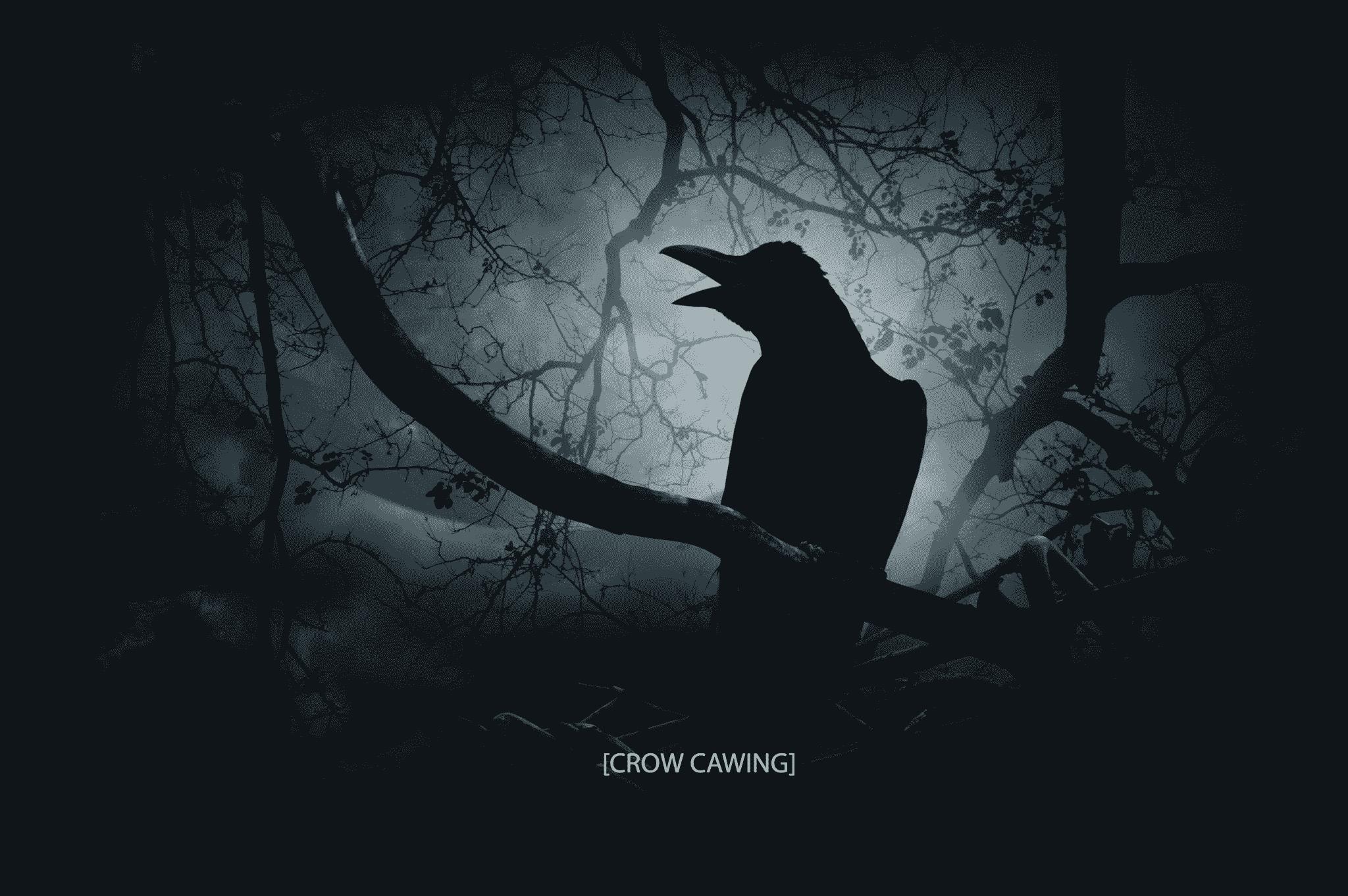 crow on a tree with bare branches backlit by the moon in a cloudy night sky