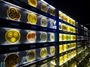 Shelves displaying different kinds of microbes in circular glass cases at the Micropia Museum in Amserdam 