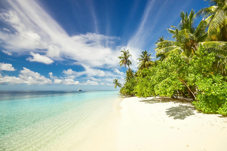 A white sandy beach against a blue sky with green trees lining the side of the beach